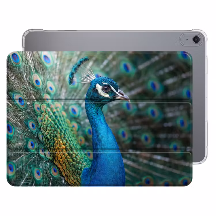 iPad hoes - Pauw - Veren - Blauw — 1