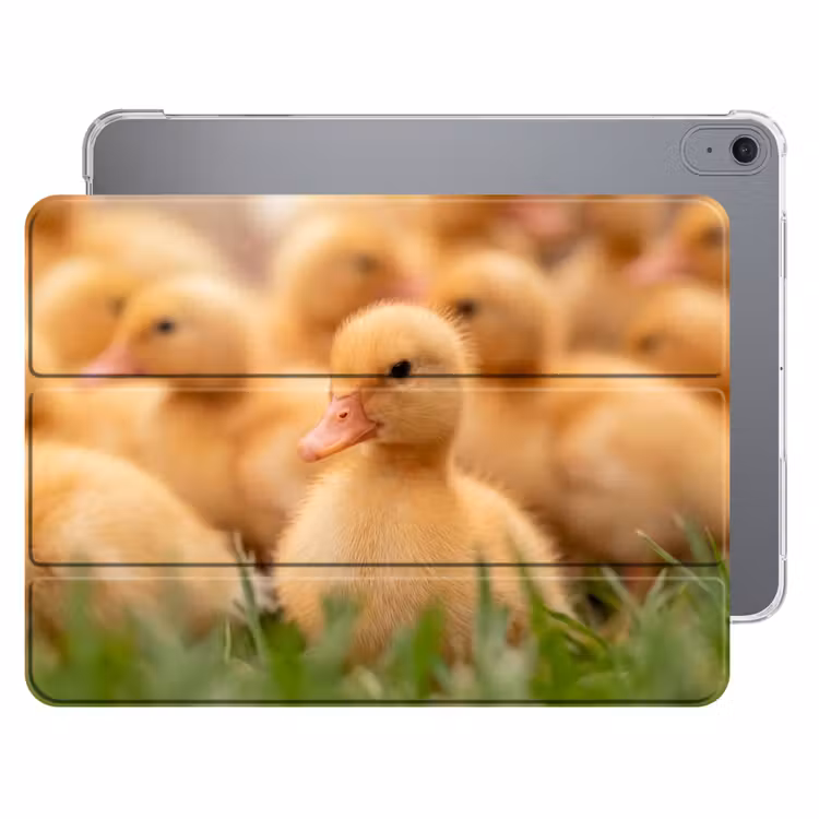 iPad hoes - Pijltje - Eend - Natuur - Geel — 1