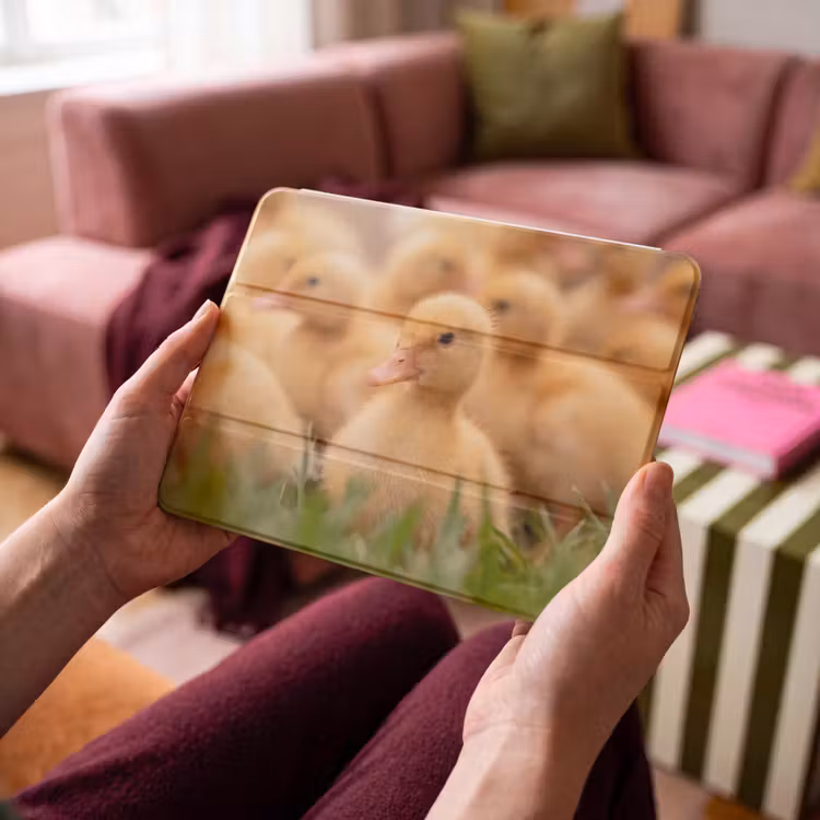 iPad hoes - Pijltje - Eend - Natuur - Geel — 4