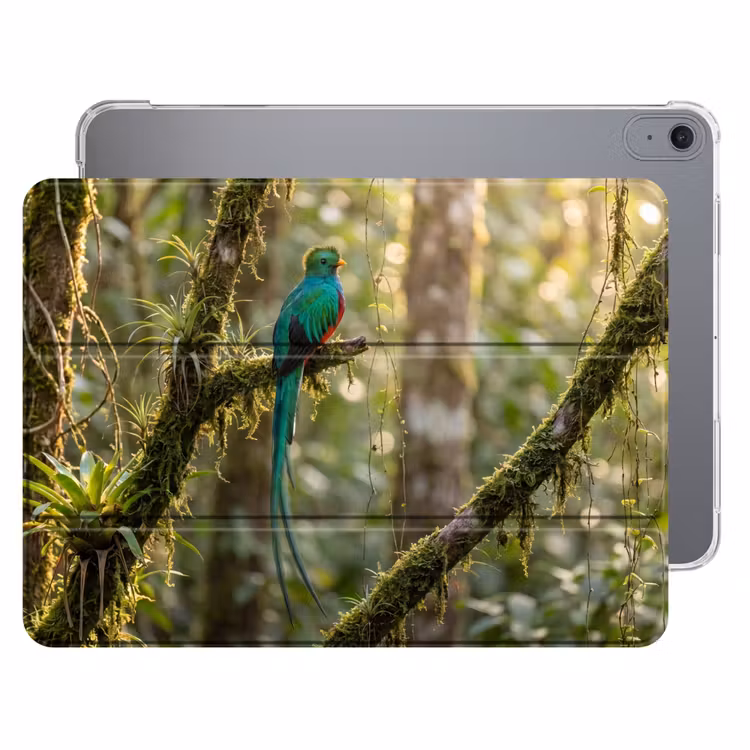 iPad hoes - Quetzal - Jungle - Natuur - Groen — 1