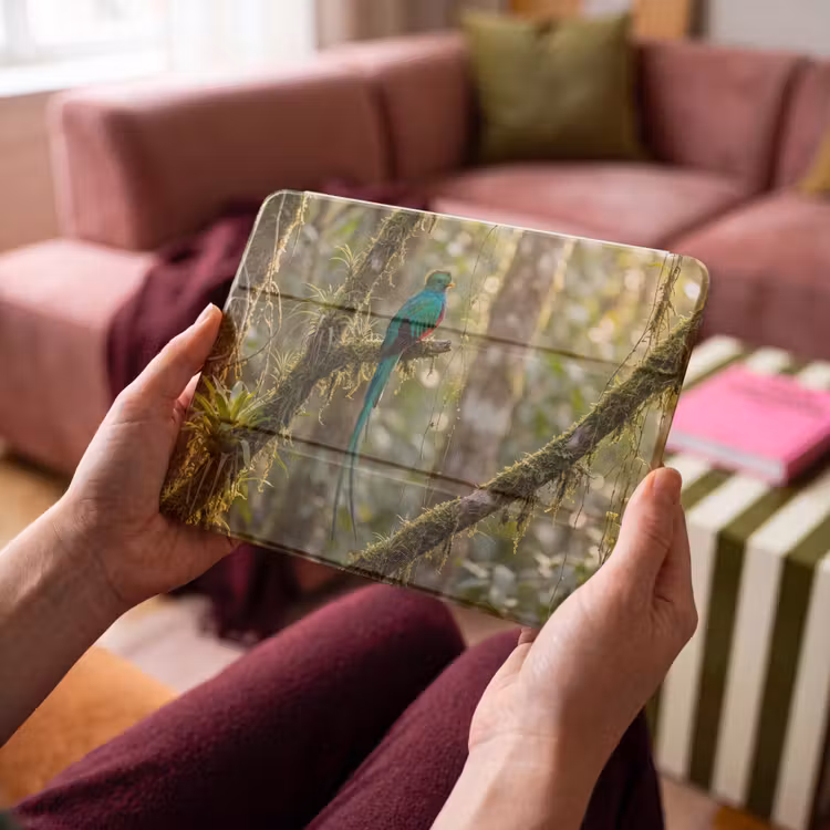 iPad hoes - Quetzal - Jungle - Natuur - Groen — 4