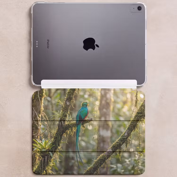 iPad hoes - Quetzal - Jungle - Natuur - Groen — 6