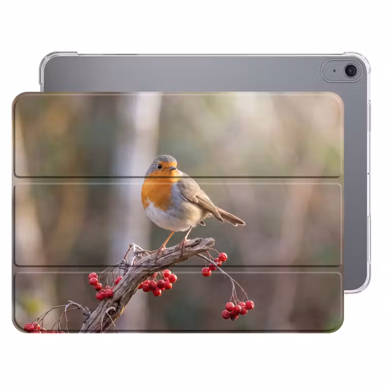iPad hoes - Roodborst - Tak - Bessen - Natuur — 1