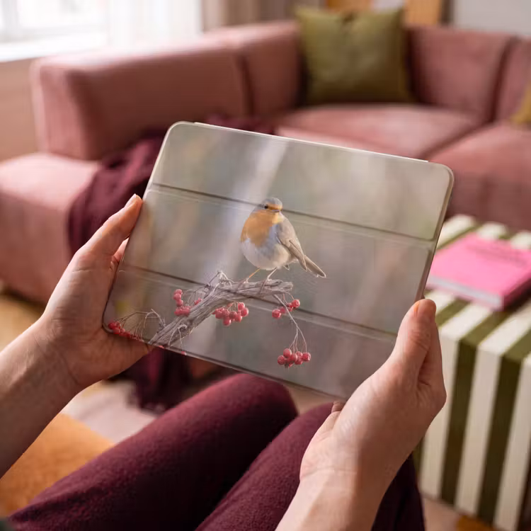 iPad hoes - Roodborst - Tak - Bessen - Natuur — 4