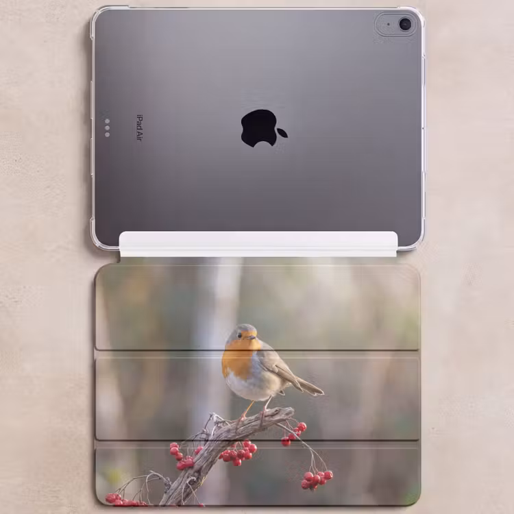 iPad hoes - Roodborst - Tak - Bessen - Natuur — 6