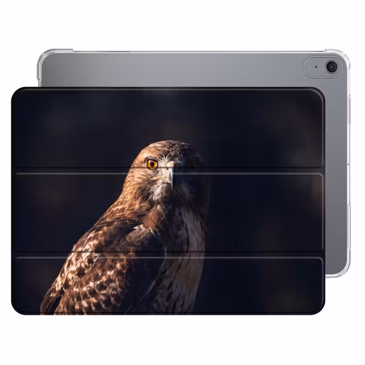 iPad hoes - Roofvogel - Buizerd - Bruin — 1