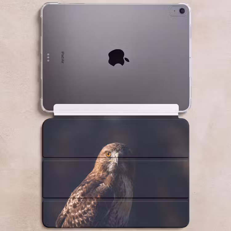 iPad hoes - Roofvogel - Buizerd - Bruin — 6