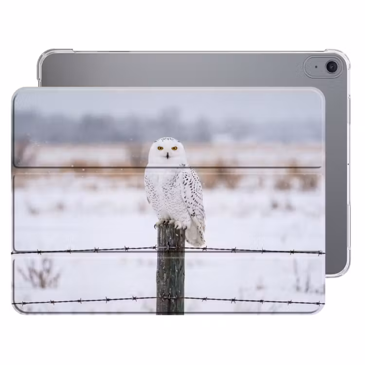 iPad hoes - Sneeuwuil - Hek - Sneeuw - Wit — 1
