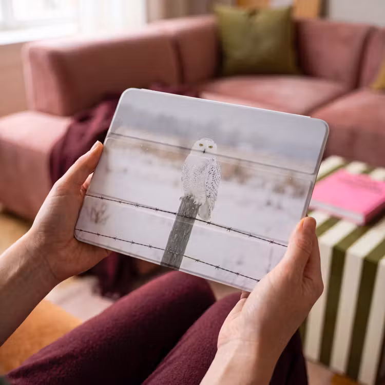 iPad hoes - Sneeuwuil - Hek - Sneeuw - Wit — 4