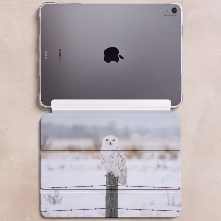 iPad hoes - Sneeuwuil - Hek - Sneeuw - Wit — 6