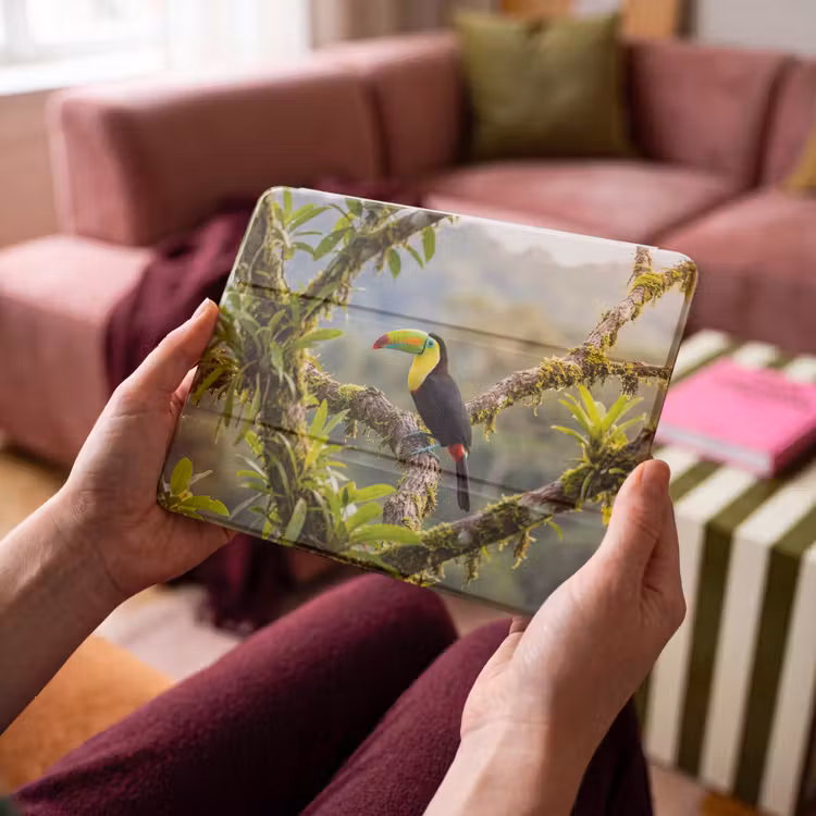 iPad hoes - Toekan - Jungle - Natuur - Kleurrijk — 4