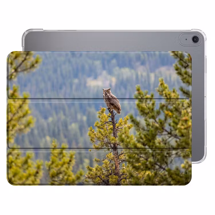 iPad hoes - Uil - Oehoe - Bomen - Natuur — 1