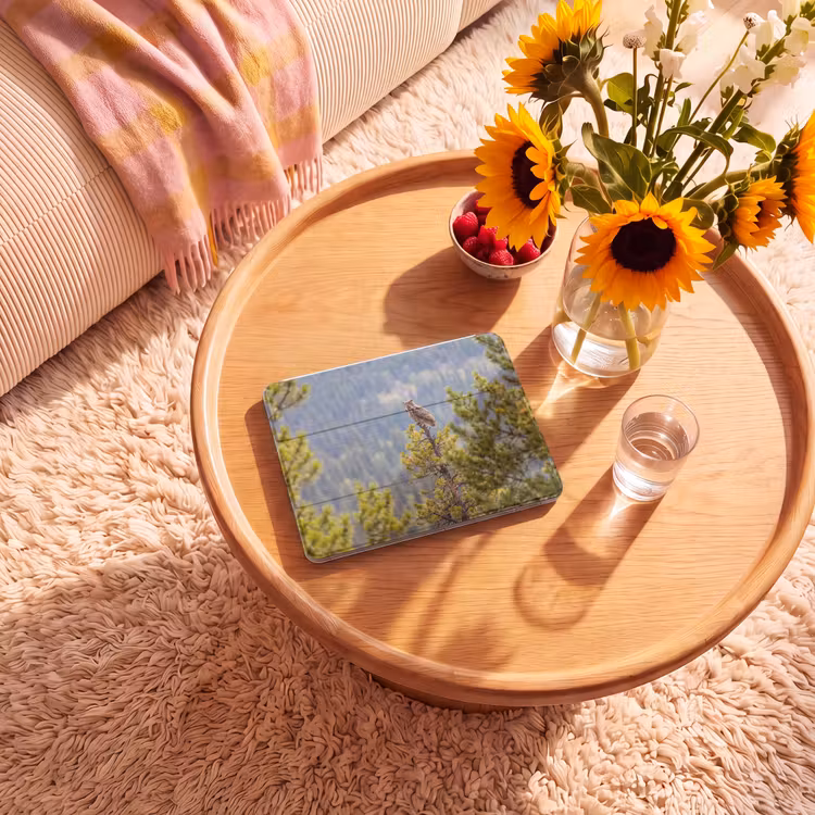iPad hoes - Uil - Oehoe - Bomen - Natuur — 2