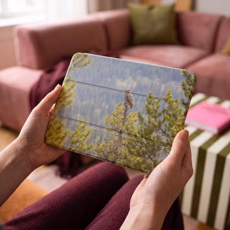 iPad hoes - Uil - Oehoe - Bomen - Natuur — 4