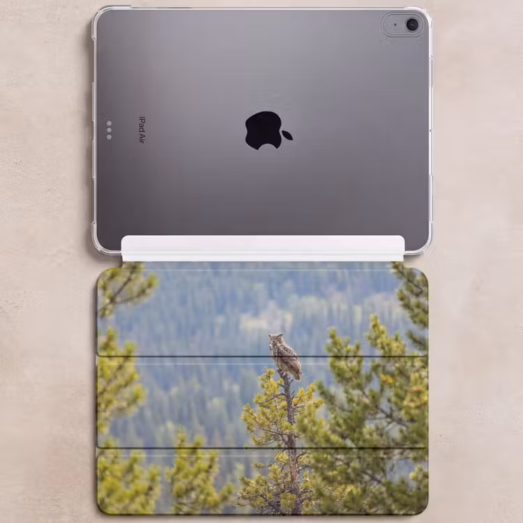 iPad hoes - Uil - Oehoe - Bomen - Natuur — 6