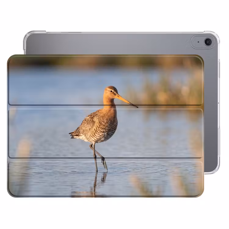 iPad hoes - Vogel - Steltloper - Water - Natuur — 1