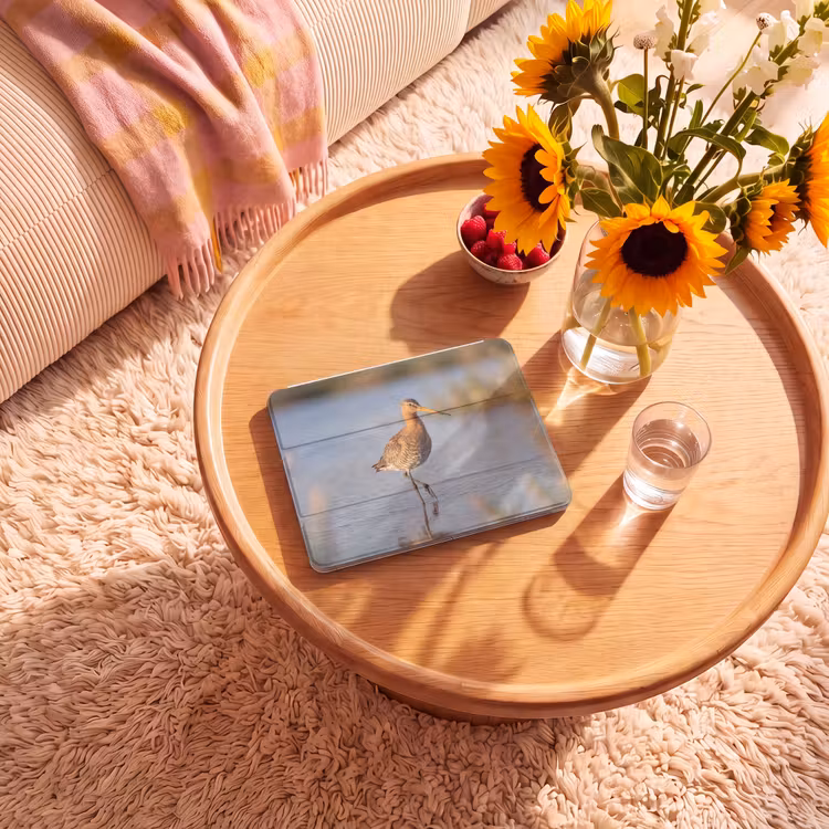 iPad hoes - Vogel - Steltloper - Water - Natuur — 2