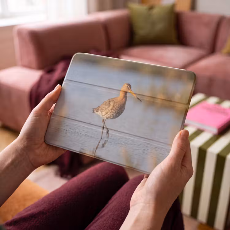 iPad hoes - Vogel - Steltloper - Water - Natuur — 4