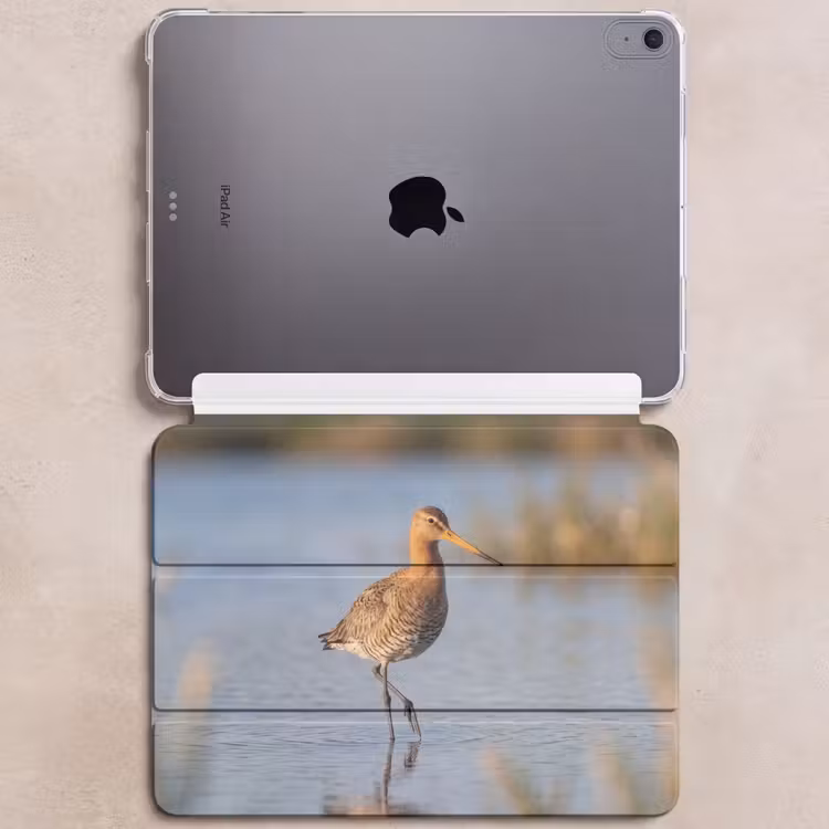 iPad hoes - Vogel - Steltloper - Water - Natuur — 6