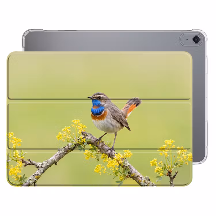 iPad hoes - Vogel - Tak - Natuur - Kleurrijk — 1