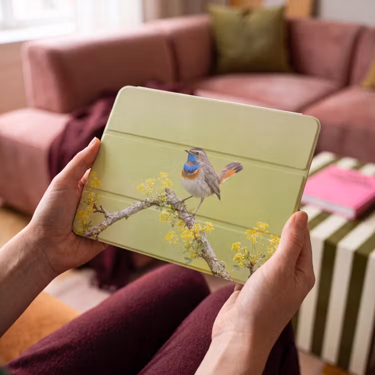 iPad hoes - Vogel - Tak - Natuur - Kleurrijk — 4