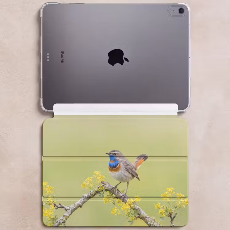 iPad hoes - Vogel - Tak - Natuur - Kleurrijk — 6