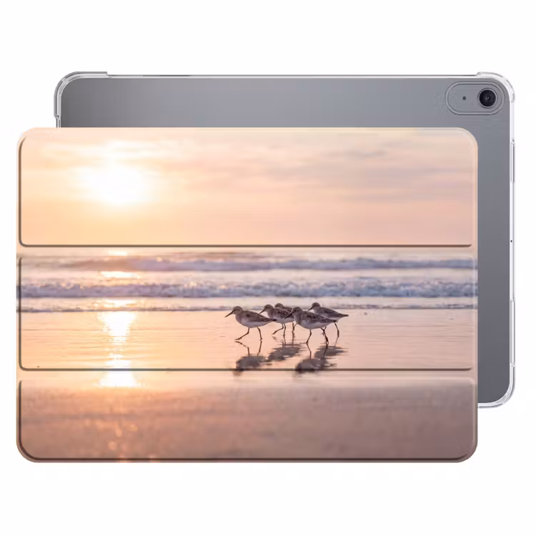 iPad hoes - Zee - Vogels - Strand — 1