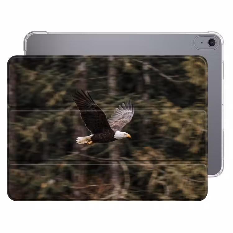 iPad hoes - Zeearend - Vliegen - Bos - Natuur — 1