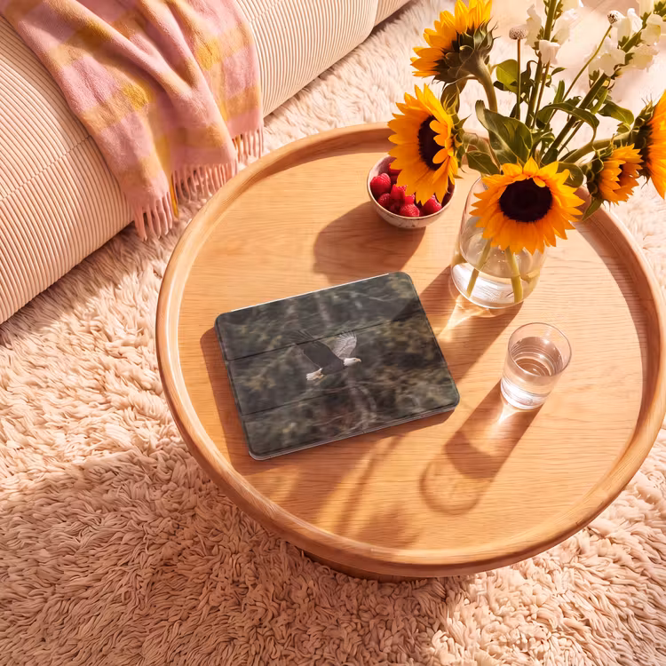 iPad hoes - Zeearend - Vliegen - Bos - Natuur — 2