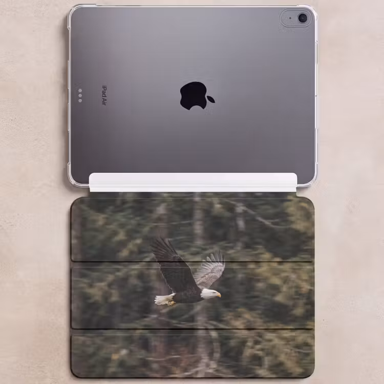 iPad hoes - Zeearend - Vliegen - Bos - Natuur — 6