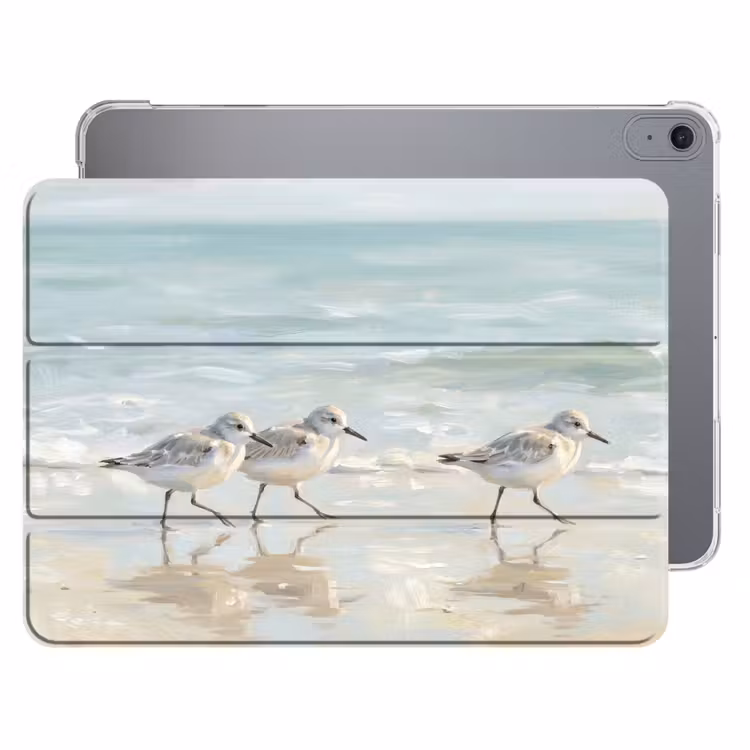 iPad hoes - Vogels - Strand - Zee — 1