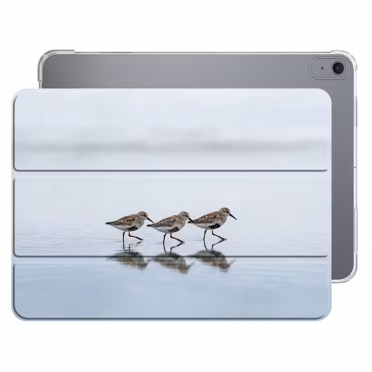 iPad hoes - Vogels - Water - Grijs — 1