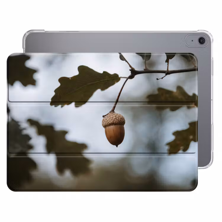 iPad hoes - Eikel - Eikenblad - Bos - Herfst - Natuur — 1