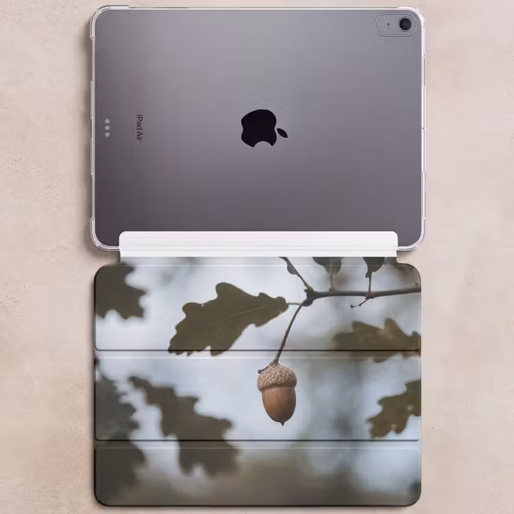 iPad hoes - Eikel - Eikenblad - Bos - Herfst - Natuur — 6