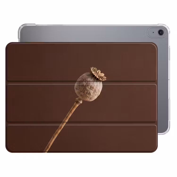 iPad hoes - Papaverbol - Droogbloem - Bruin - Minimalistisch — 1