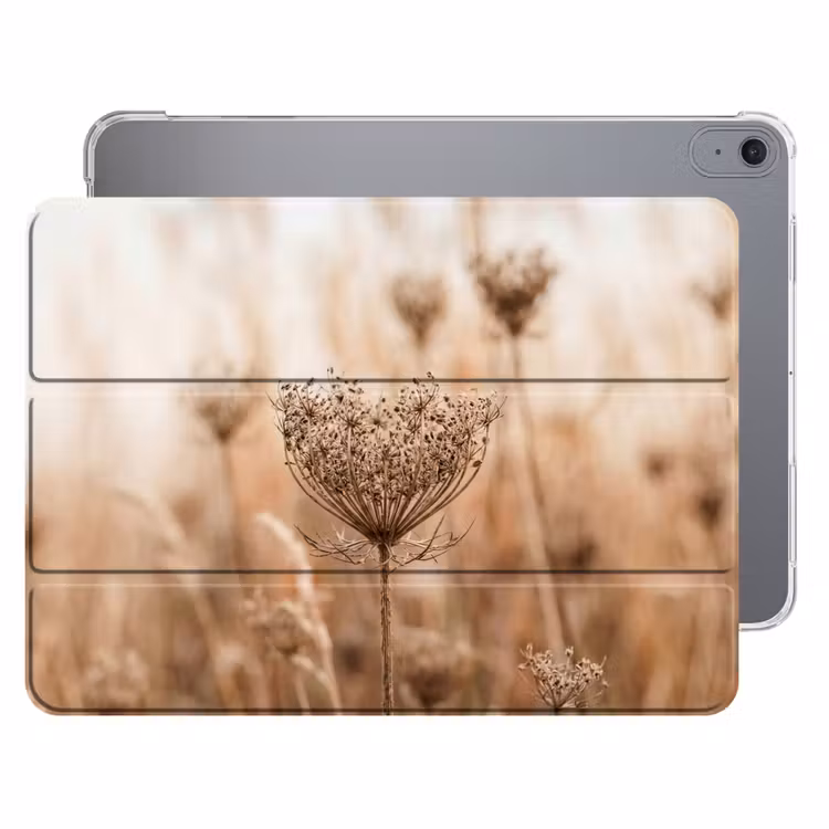 iPad hoes - Schermbloem - Droogbloem - Winter - Beige - Minimalistisch — 1