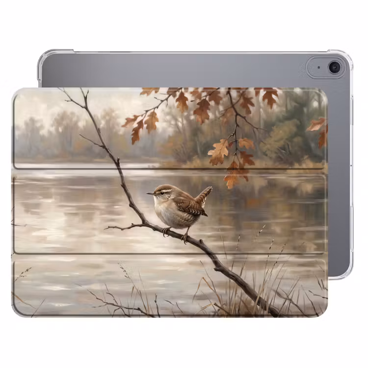 iPad hoes - Winterkoninkje - Tak - Rivier - Natuur - Sfeervol — 1