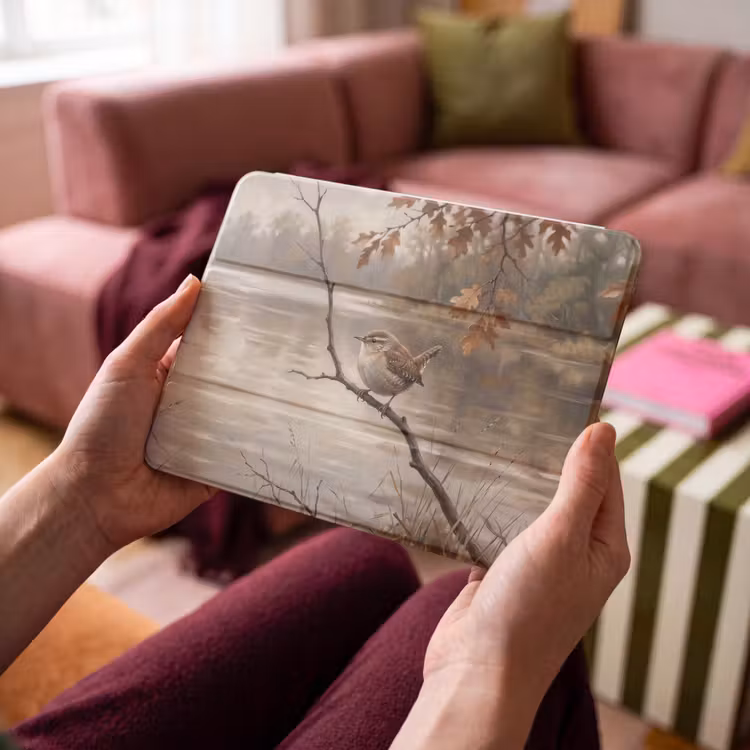 iPad hoes - Winterkoninkje - Tak - Rivier - Natuur - Sfeervol — 4