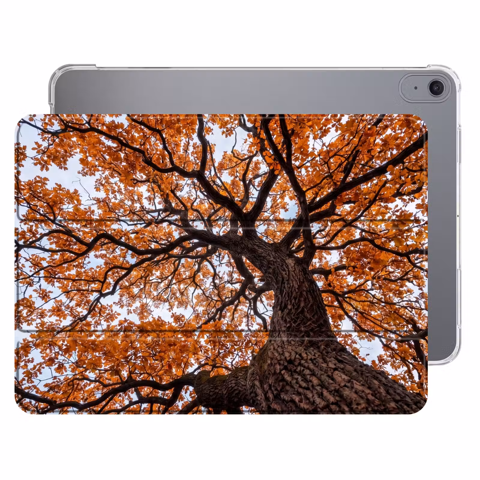 iPad hoes - Boom - Bladerdak - Herfst - Oranje - Sfeervol — 1