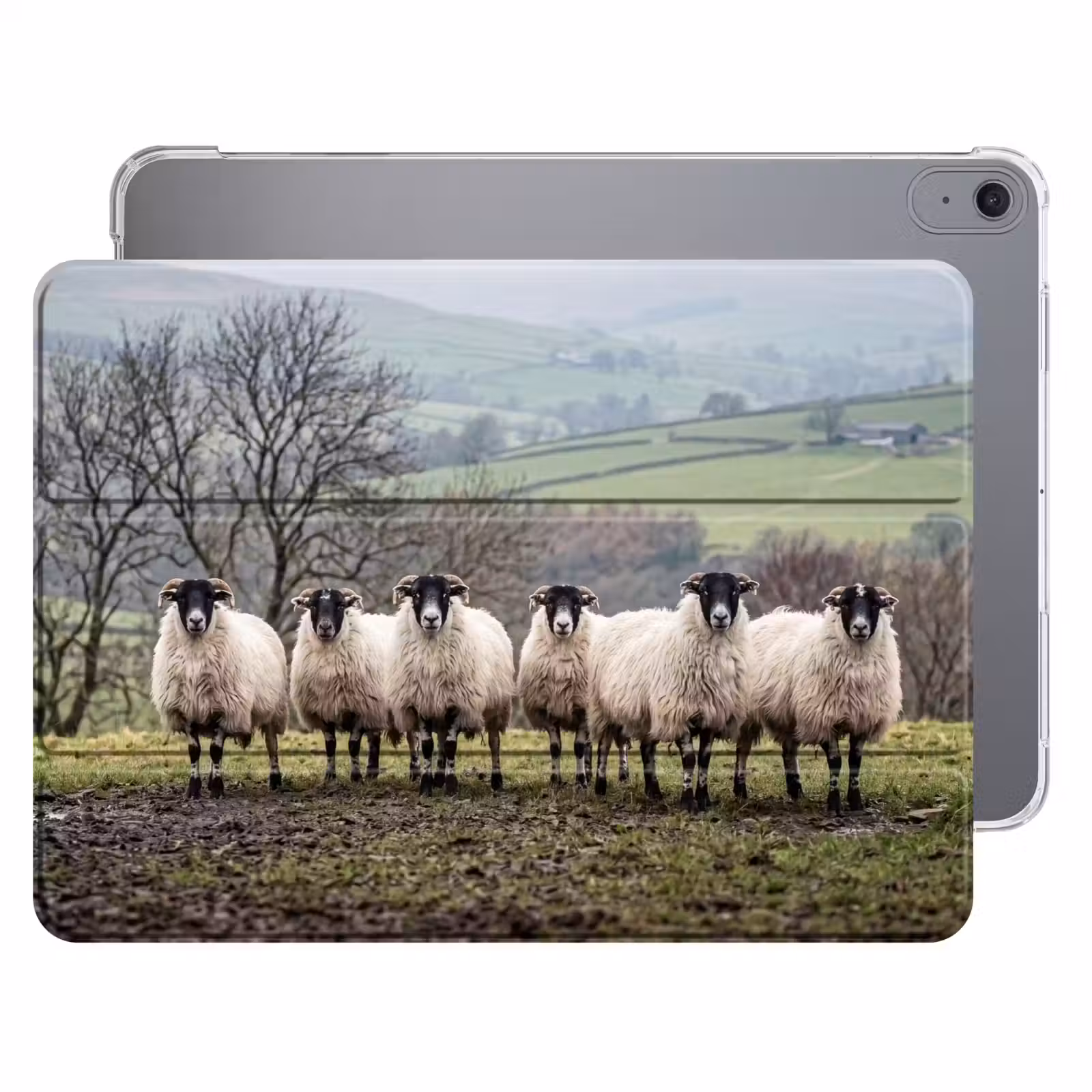 iPad hoes - Schapen - Rij - Weide - Dieren - Platteland — 1