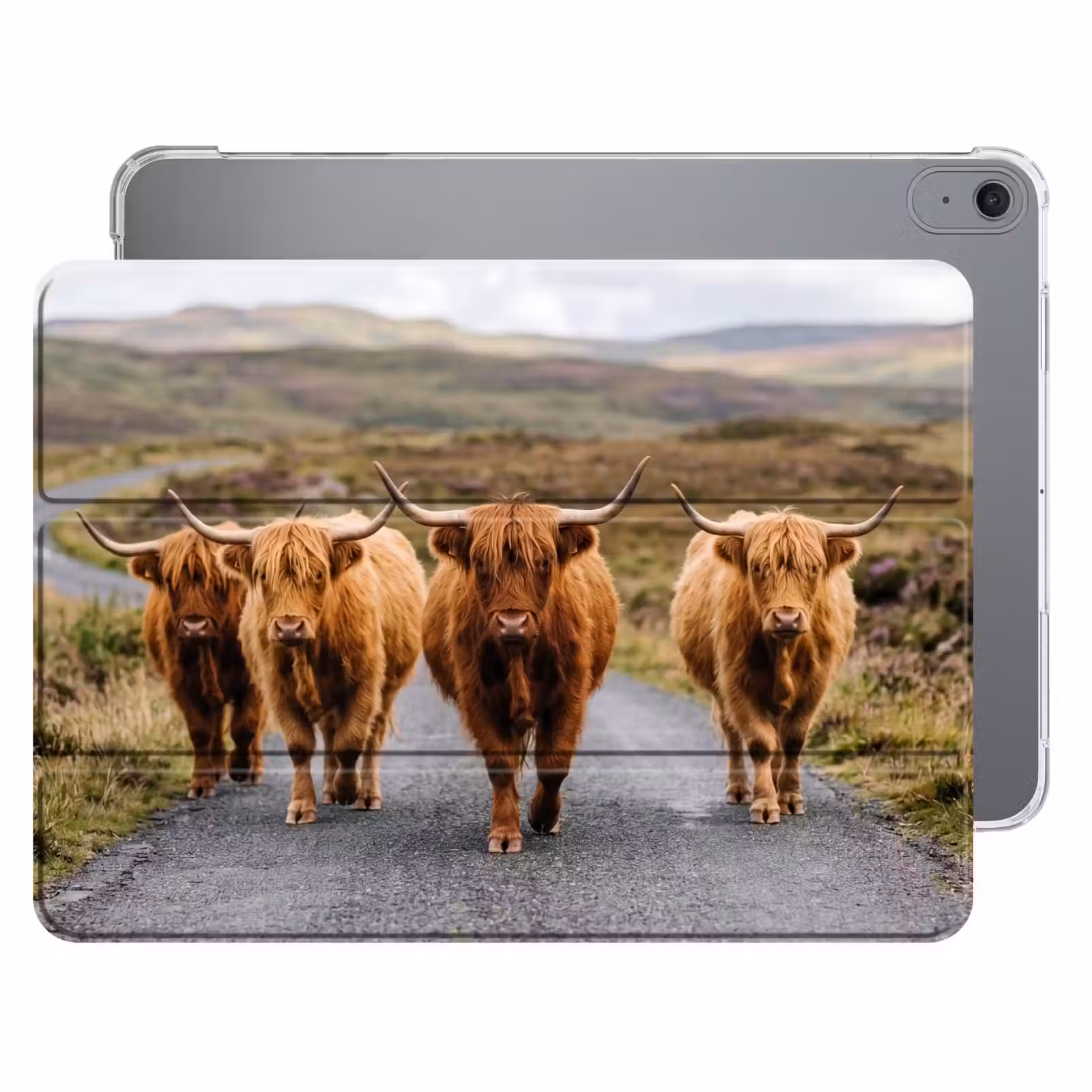 iPad hoes - Schotse Hooglanders - Weg - Landschap - Kudde — 1