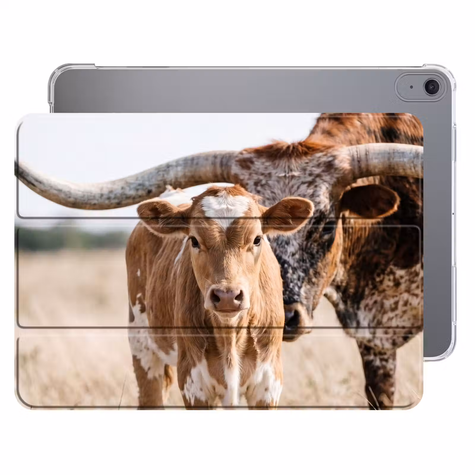 iPad hoes - Texas Longhorn - Kalf - Weide - Dieren — 1