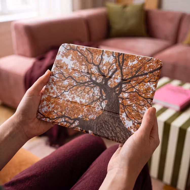 iPad hoes - Boom - Bladerdak - Herfst - Oranje - Sfeervol — 4