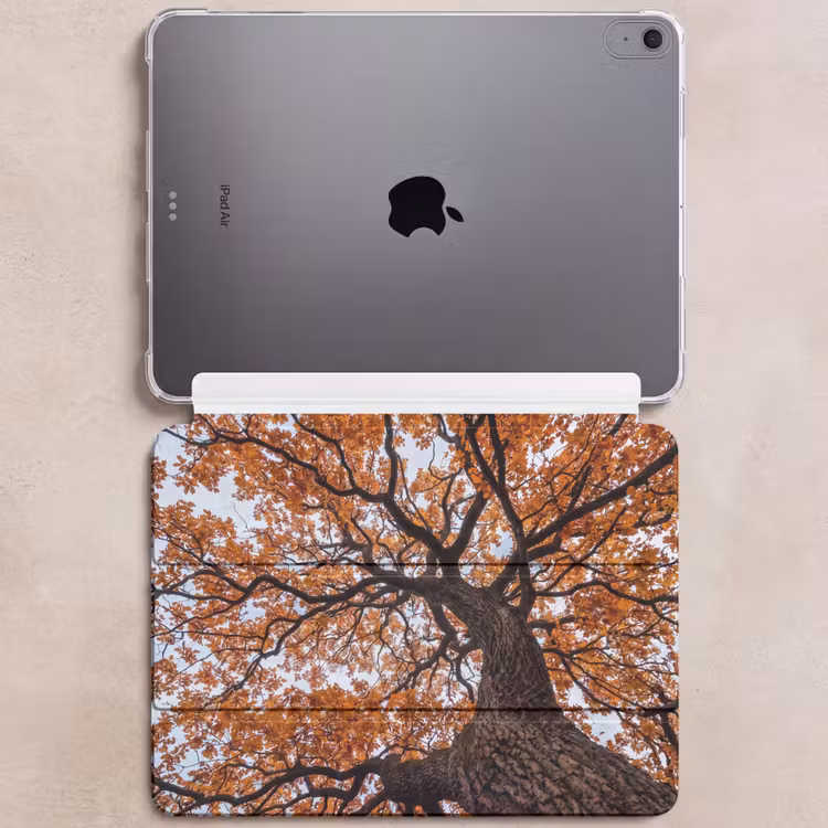 iPad hoes - Boom - Bladerdak - Herfst - Oranje - Sfeervol — 6