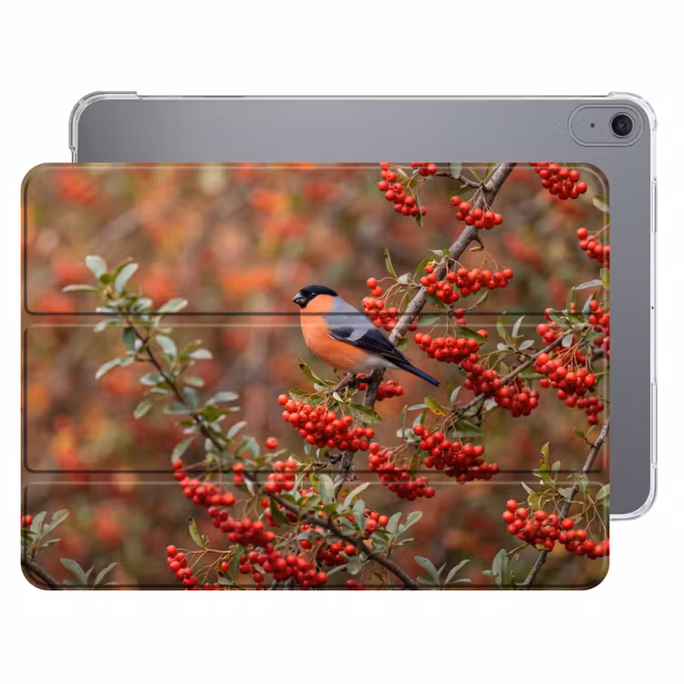 iPad hoes - Goudvink - Bessen - Herfst - Natuur - Kleurrijk — 1