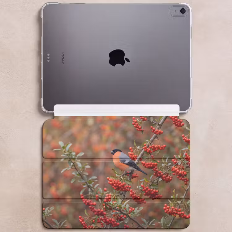 iPad hoes - Goudvink - Bessen - Herfst - Natuur - Kleurrijk — 6
