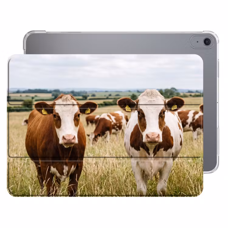 iPad hoes - Koeien - Portret - Weide - Boerderij - Nieuwsgierig — 1
