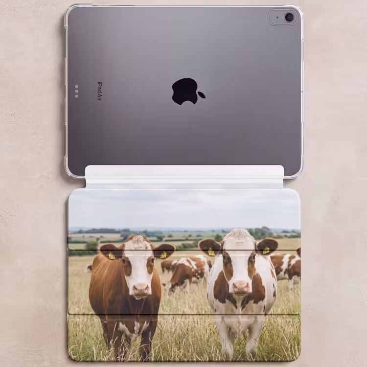 iPad hoes - Koeien - Portret - Weide - Boerderij - Nieuwsgierig — 6