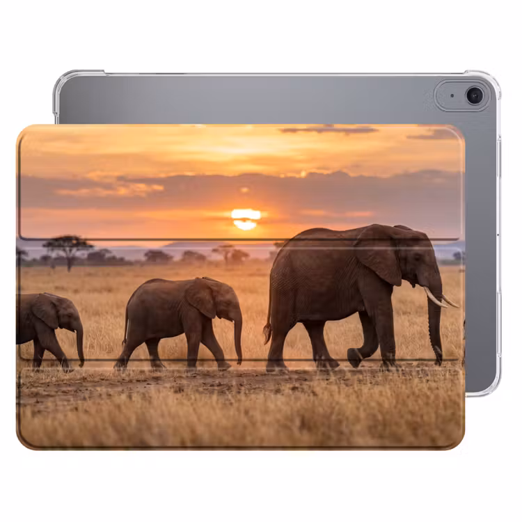 iPad hoes - Olifanten - Savanne - Zonsondergang - Afrika - Warm — 1