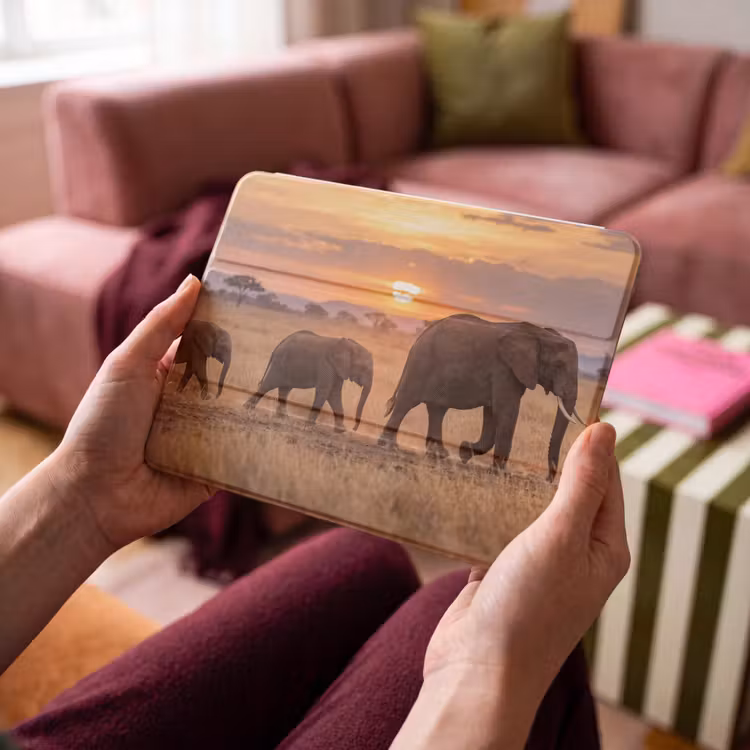iPad hoes - Olifanten - Savanne - Zonsondergang - Afrika - Warm — 4